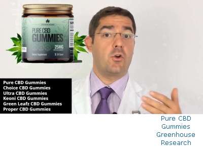 Is Pure CBD Gummies Just Uly CBD Gummies